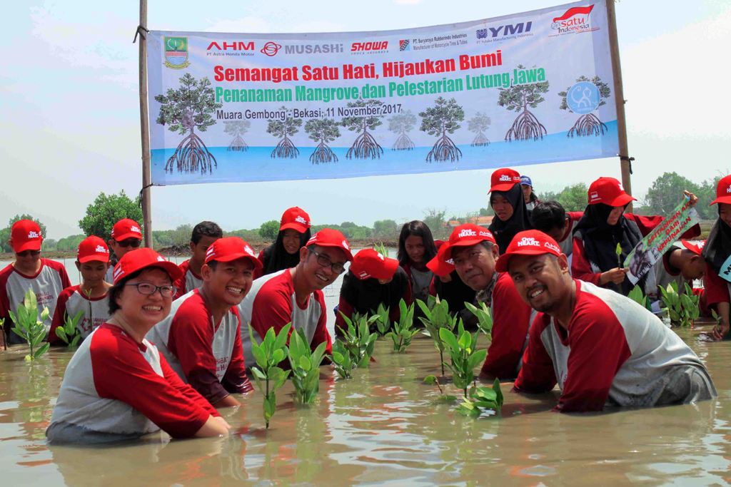 AHM Ajak Sahabat Satu Hati Tanam Mangrove di Muara Gembong