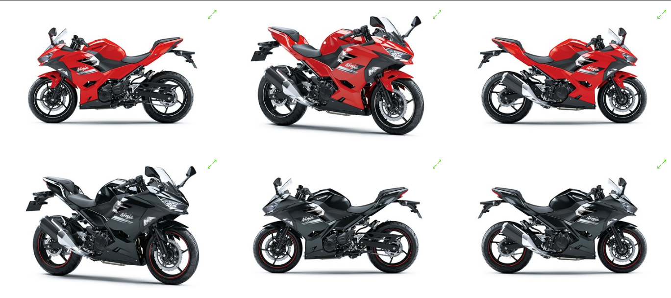 Kawasaki Ninja 250FI Dapat Dua Warna Baru, Berapa Harganya Sekarang?